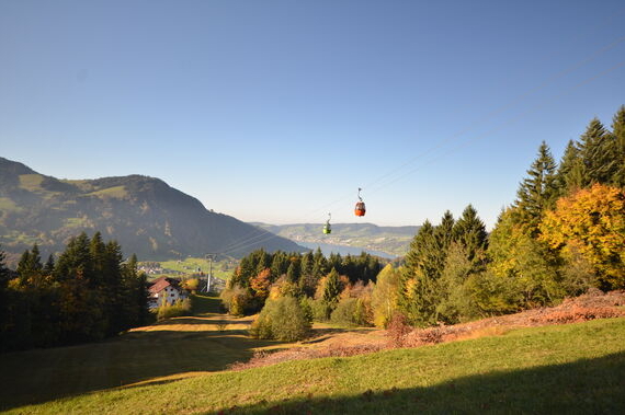 Herbstlicher Wald, blauer Himmel von weit sieht man zwei Gondeln